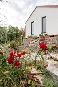 Sukorose Jacuzzis Vendégház - Nadap