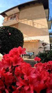 Appartamento ZOIA - Sostegno