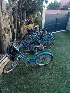 Maisons d'hotes Les Chambres de Paulette Chambres a Theme Jack Sparrow : photos des chambres