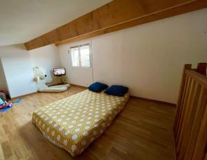 Villa 13 personnes avec piscine à débordement