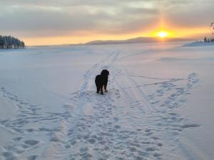 Mökki Kemijärvellä