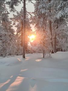 Mökki Kemijärvellä