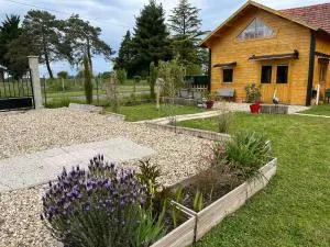 Le rouge gorge - Cosges