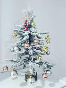 Didveli Residence H11