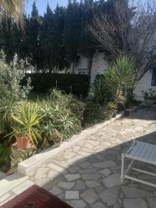 Raf Guest House
