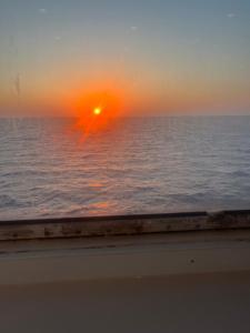 La Piccola Scuola img12