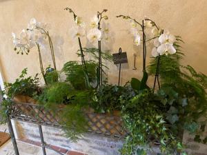 B&B / Chambres d'hotes Les Hortensias : photos des chambres