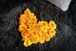 Kingdom River Deluxe