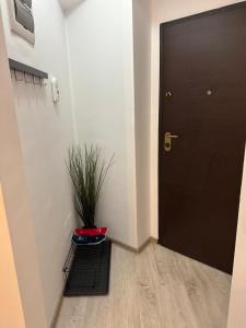 Central Studio Bucur