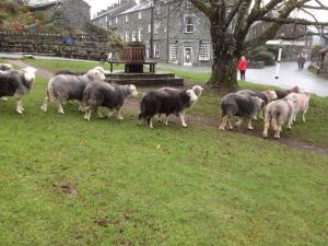 Cosy home in centre of Lake District National Park