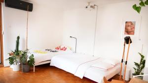 Green Hi-Tech Studio