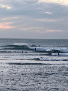 Auberges de jeunesse L'escale Surf Hostel - Auberge de jeunesse : photos des chambres