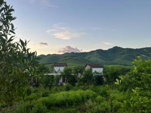 Nguyen Shack Retreat Resort