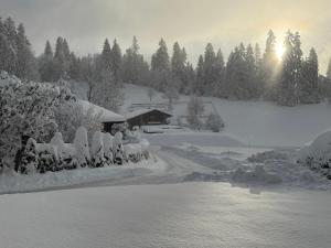 Appartements Marmotte du Jaillet Cosy and charmant appartement : photos des chambres