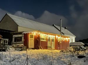 Tiny House Anneliese Hunde okay