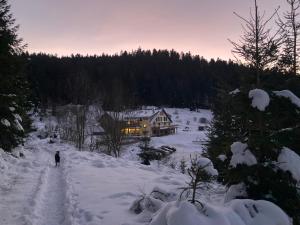 Le Perchoir du Grand Valtin - Gîte 9 personnes - Altitude 830