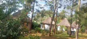 BN Private Beach & Resort - Jinja - Njeru
