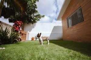 Casa aconchegante em condomínio em Gravatá PE
