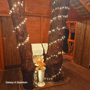 Green leaf Tree house