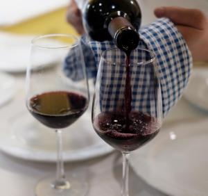 Villa Oreh Kravenik - Вила Орех Кръвеник