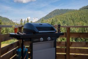 Appartements Le Perchoir, Gite 7 personnes, Le Grand Valtin : Appartement 3 Chambres