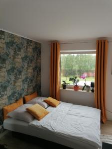 Apartament u Przewodnika Sudeckiego