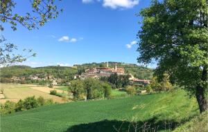 Pet Friendly Apartment