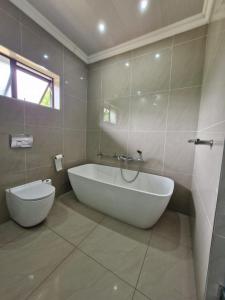 The African Flamingo