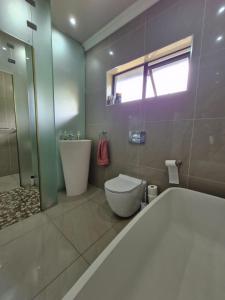 The African Flamingo