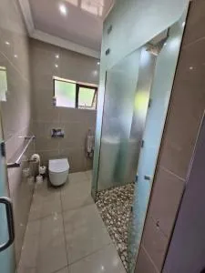 The African Flamingo - King Williamʼs Town