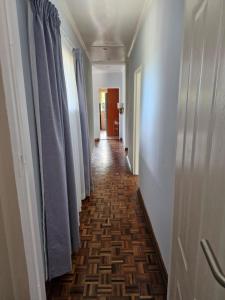 The African Flamingo