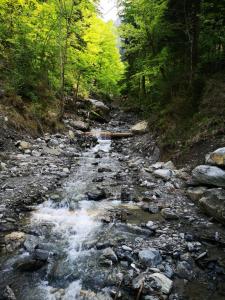 Mountain View Apartment in Leissigen by Interlaken