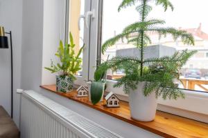 Apartament u Andrzeja