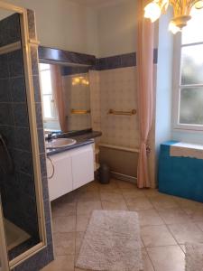 Maisons de vacances Chateau l-haurie with large garden, swimming pool and games room : photos des chambres