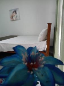 Coco Holiday Home