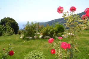 Guesthouse Kapaniaris Pelion Greece