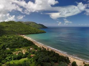 Casa Ola, luxurious jungle house