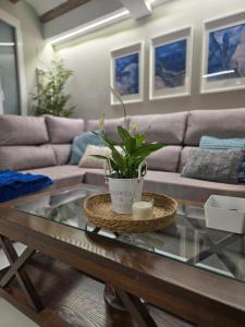 eXperience Apartment Valencia