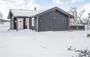 Beautiful Home In Engerdal With Kitchen