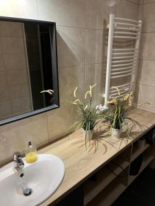 Near Station Apartment