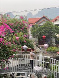 Elizabeth Hotel Tam Coc