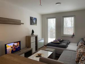 Apartment Treska Kop