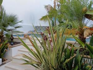 Oasis de Bornos Maison Entière