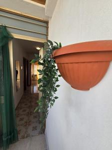 Regina Elena Apartment