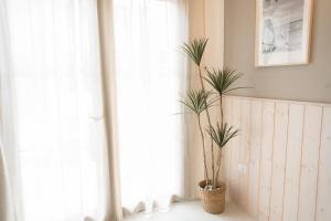 Leopardi Al Mare Nuovissimo