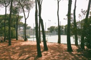 La Casa delle Conchiglie img16