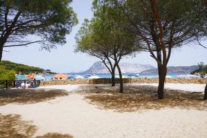 La Casa delle Conchiglie img40