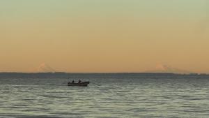 Unique Tree House Hideaway in Nature
