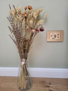 Ophir Apartment Central