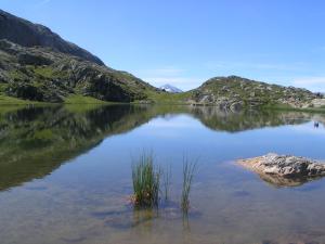 Appart'hotels Chalet des Neiges Oz en Oisans : photos des chambres